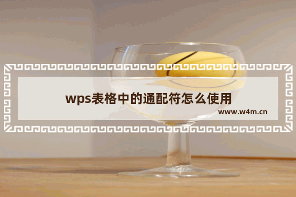 wps表格中的通配符怎么使用