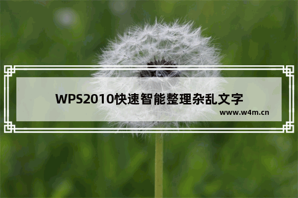 WPS2010快速智能整理杂乱文字