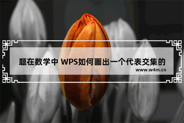 题在数学中 WPS如何画出一个代表交集的图形 也就是说 两个或多个圆的重叠图形