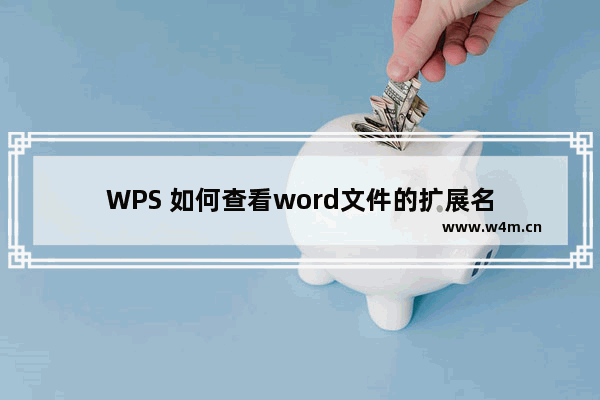 WPS 如何查看word文件的扩展名