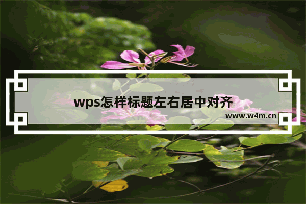 wps怎样标题左右居中对齐