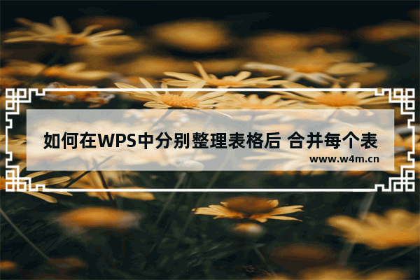 如何在WPS中分别整理表格后 合并每个表格的总分