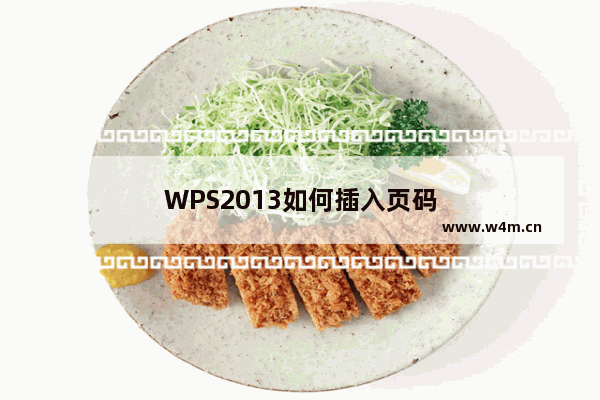 WPS2013如何插入页码