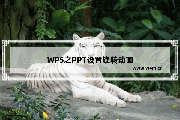 WPS之PPT设置旋转动画