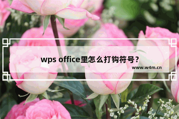 wps office里怎么打钩符号？