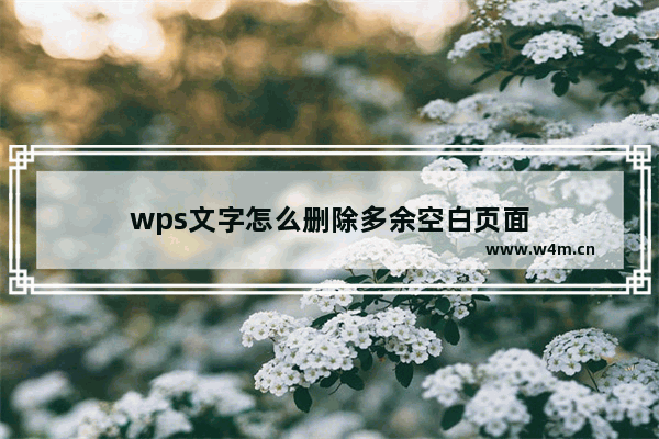 wps文字怎么删除多余空白页面