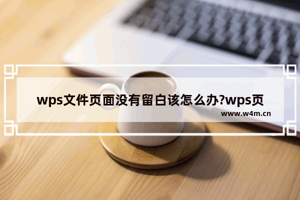 wps文件页面没有留白该怎么办?wps页面留白被隐藏的解决办法