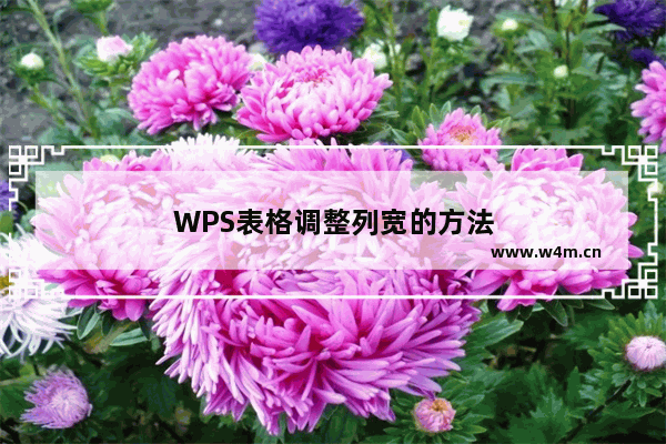 WPS表格调整列宽的方法