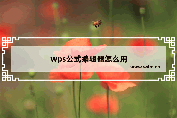 wps公式编辑器怎么用