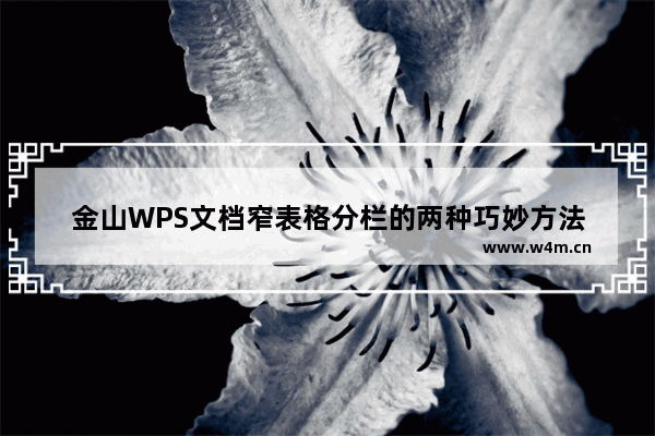 金山WPS文档窄表格分栏的两种巧妙方法