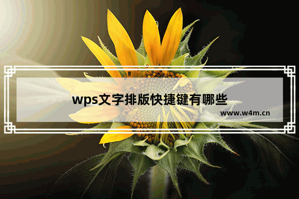 wps文字排版快捷键有哪些