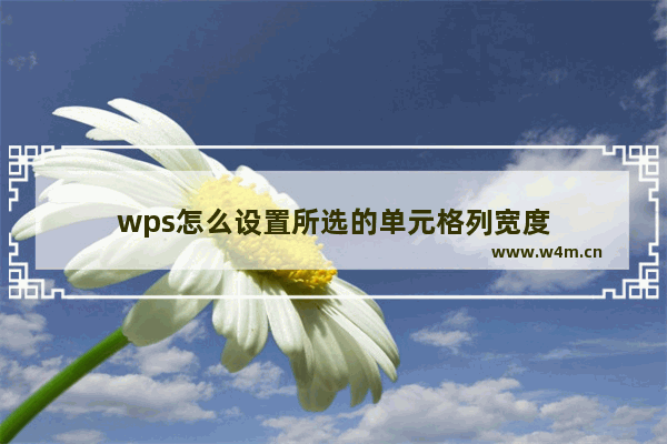 wps怎么设置所选的单元格列宽度