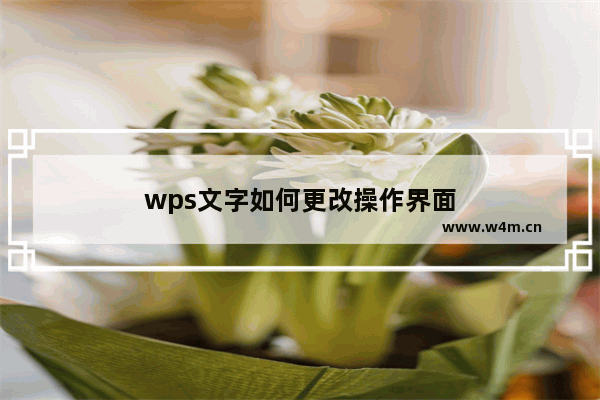 wps文字如何更改操作界面