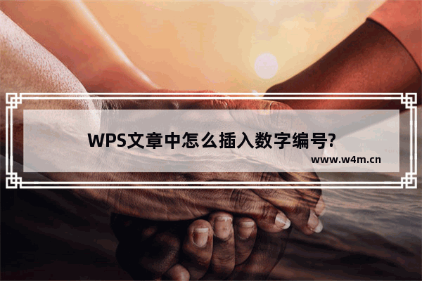 WPS文章中怎么插入数字编号?