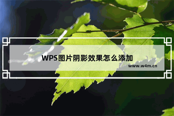 WPS图片阴影效果怎么添加