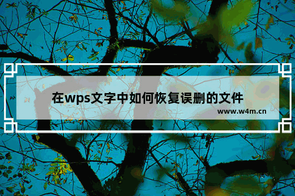 在wps文字中如何恢复误删的文件