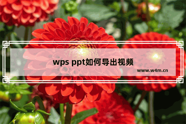 wps ppt如何导出视频