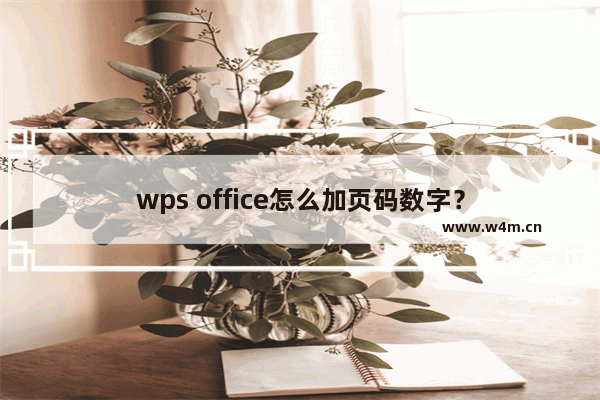 wps office怎么加页码数字？