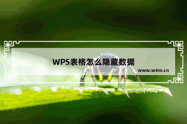 WPS表格怎么隐藏数据