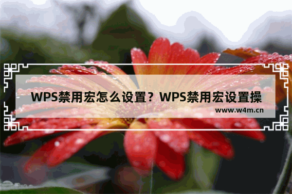 WPS禁用宏怎么设置？WPS禁用宏设置操作方法分享