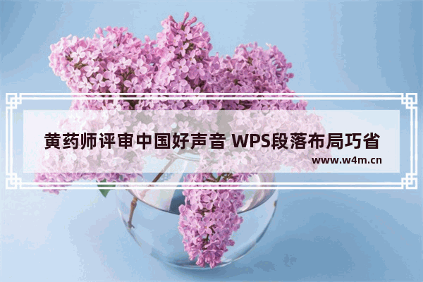 黄药师评审中国好声音 WPS段落布局巧省时间