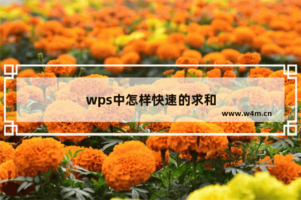 wps中怎样快速的求和