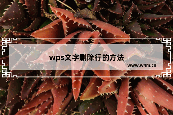 wps文字删除行的方法