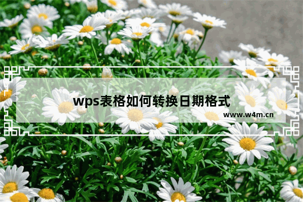 wps表格如何转换日期格式