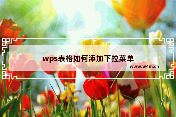 wps表格如何添加下拉菜单