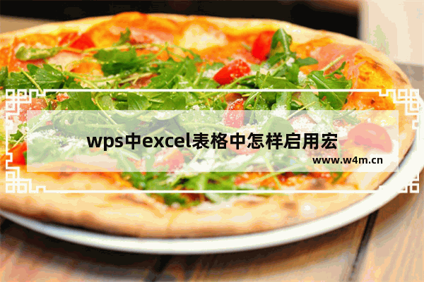 wps中excel表格中怎样启用宏