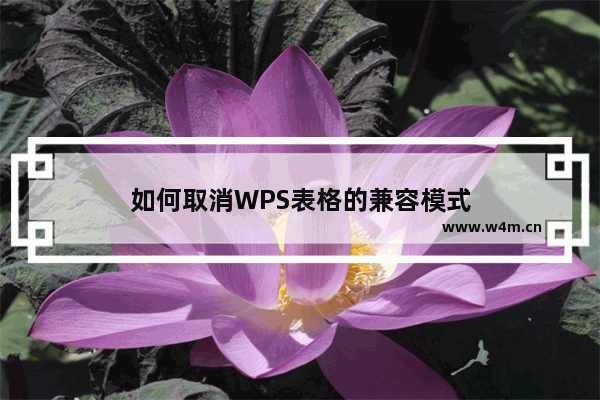 如何取消WPS表格的兼容模式