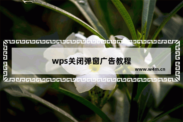 wps关闭弹窗广告教程