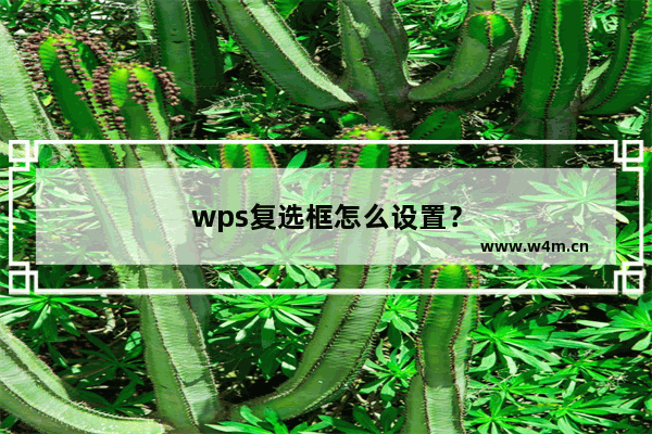 wps复选框怎么设置？