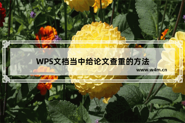 WPS文档当中给论文查重的方法