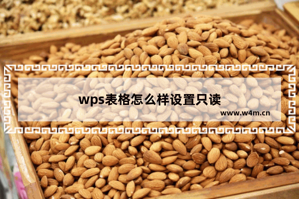 wps表格怎么样设置只读