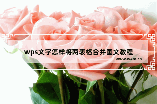 wps文字怎样将两表格合并图文教程