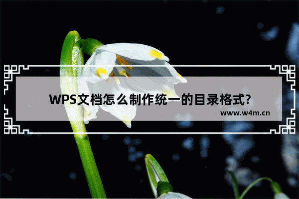 WPS文档怎么制作统一的目录格式?