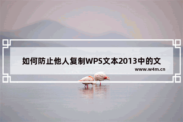 如何防止他人复制WPS文本2013中的文档内容