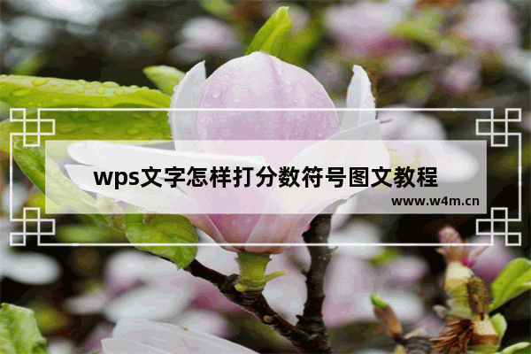 wps文字怎样打分数符号图文教程