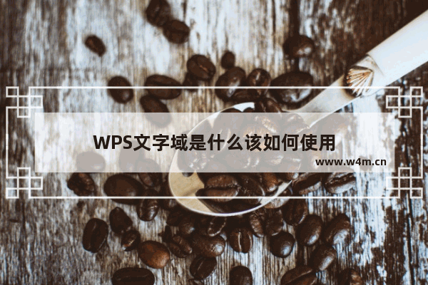 WPS文字域是什么该如何使用