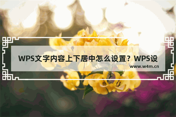 WPS文字内容上下居中怎么设置？WPS设置文字内容上下居中教程