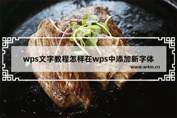 wps文字教程怎样在wps中添加新字体