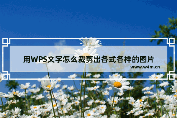 用WPS文字怎么裁剪出各式各样的图片