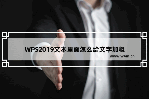 WPS2019文本里面怎么给文字加粗