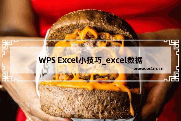 WPS Excel小技巧_excel数据快速分列