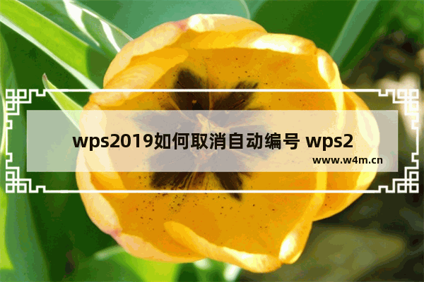 wps2019如何取消自动编号 wps2019取消自动编号的操作内容