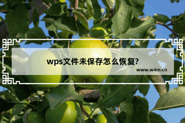 wps文件未保存怎么恢复?