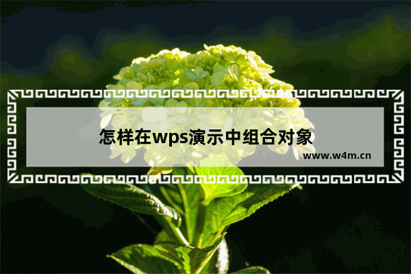 怎样在wps演示中组合对象