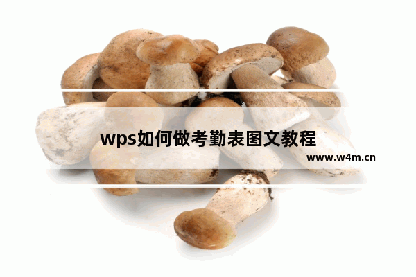 wps如何做考勤表图文教程