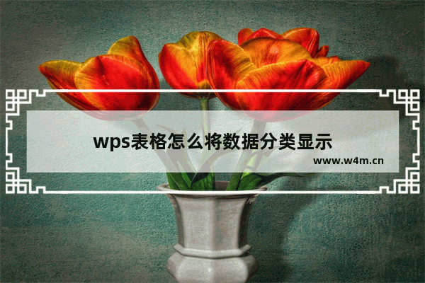 wps表格怎么将数据分类显示